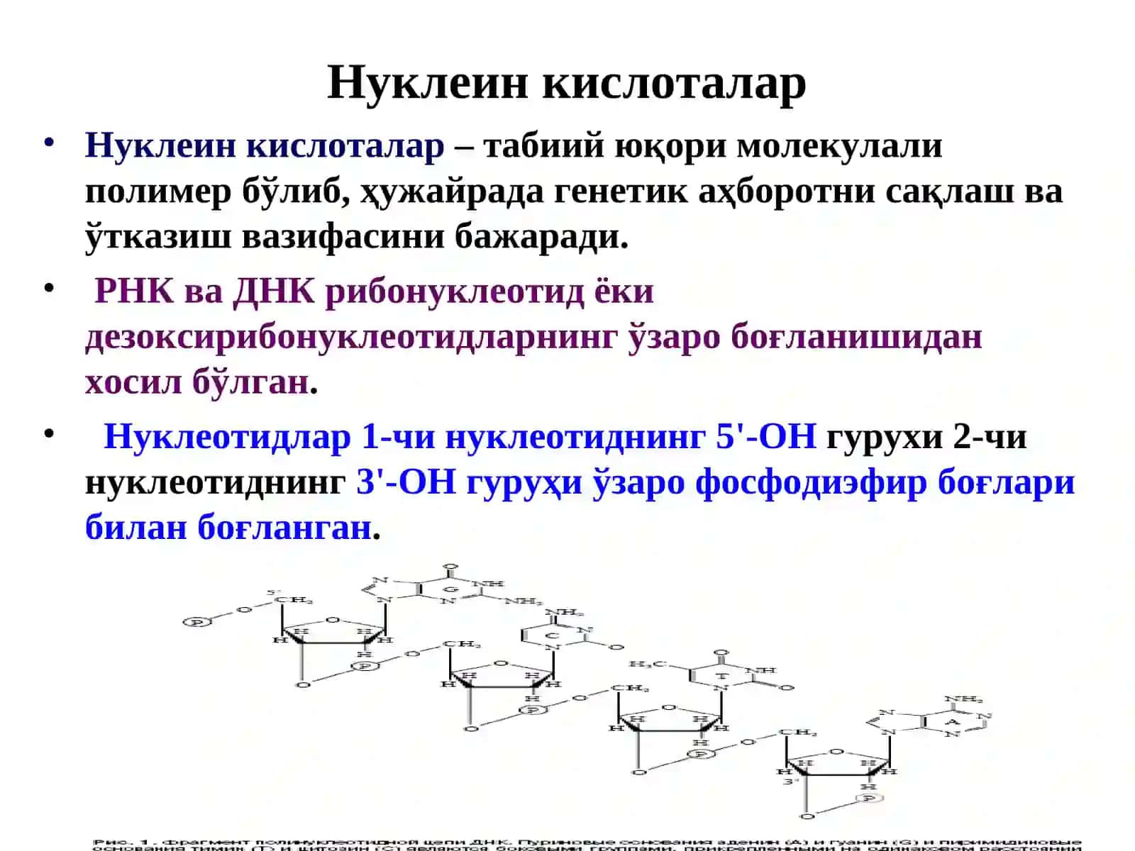 Молекуляр биология 3