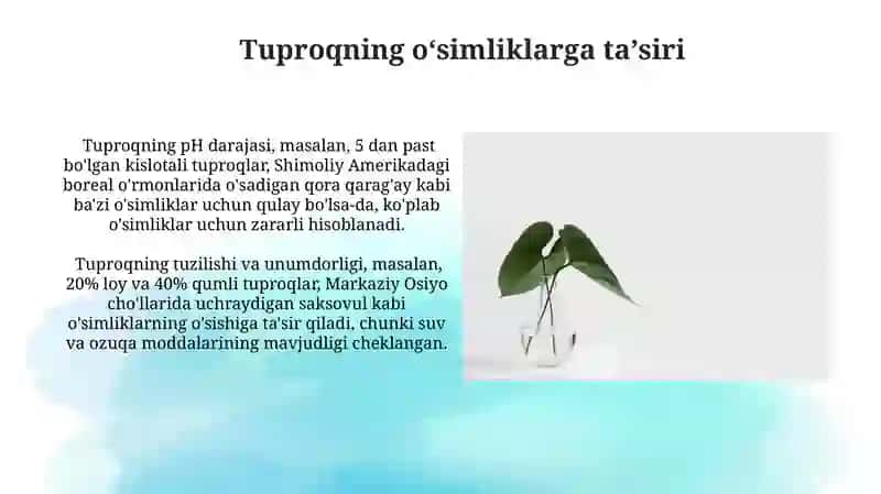 Oʻsimliklar geografiyasi asoslari 3