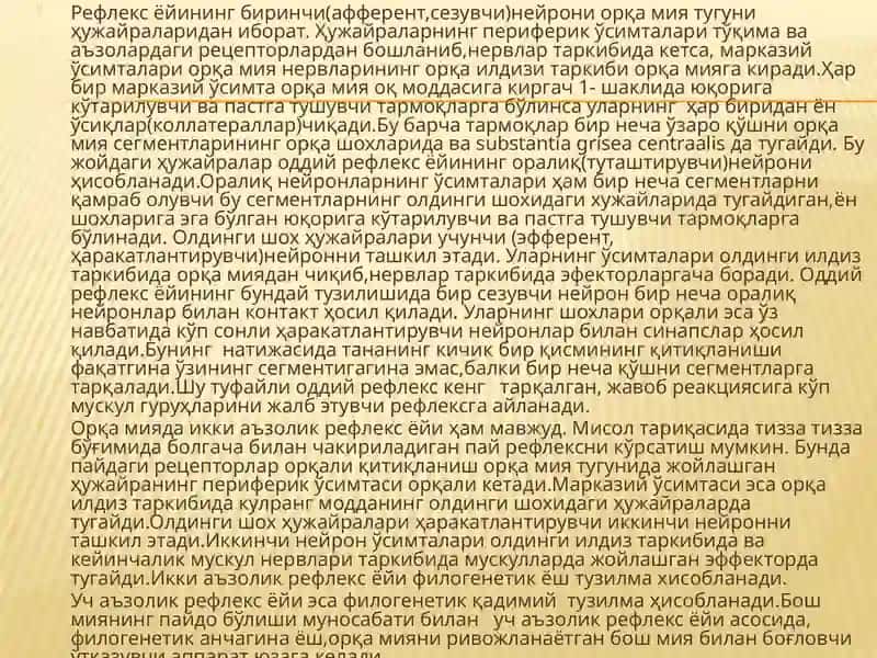 Бош мия пўстлоғи. Бош мия утказув йуллари 3