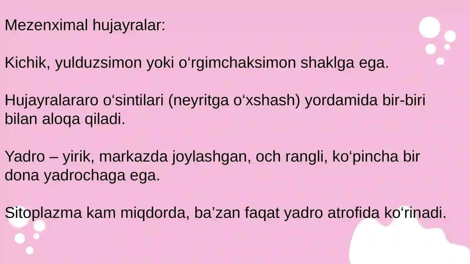 Mezenximaning tuzilishi va axamiyati 3