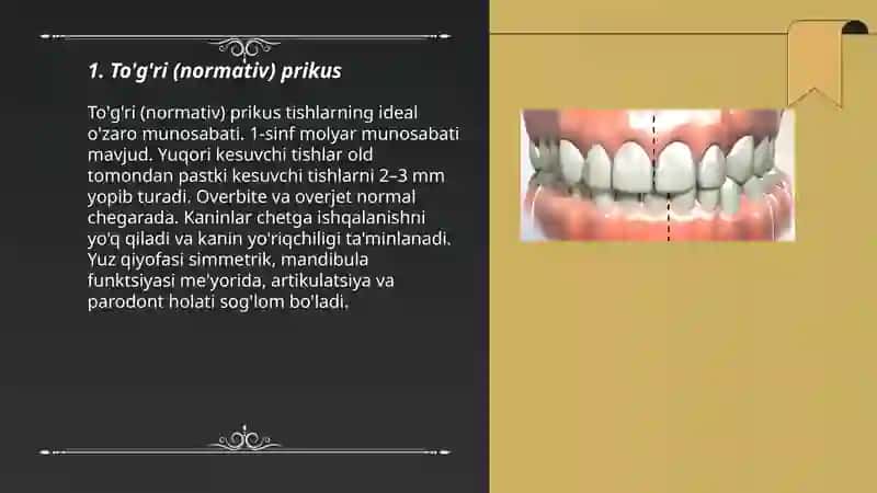 To'g'ri (normativ) prikus 3