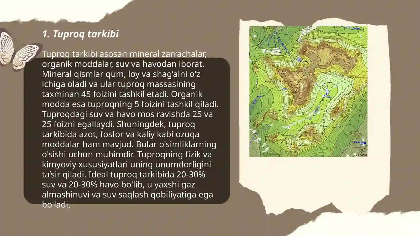Tuproq va topografik omillar 3