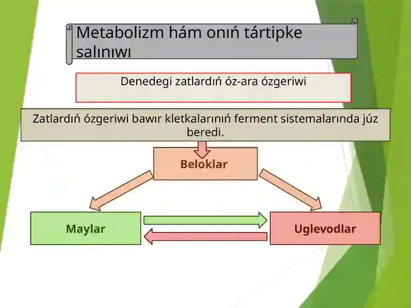ZAT HÁM ENERGIYA ALMASIWI 3