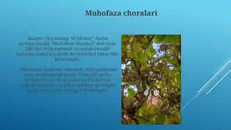 Muhofaza choralari 3