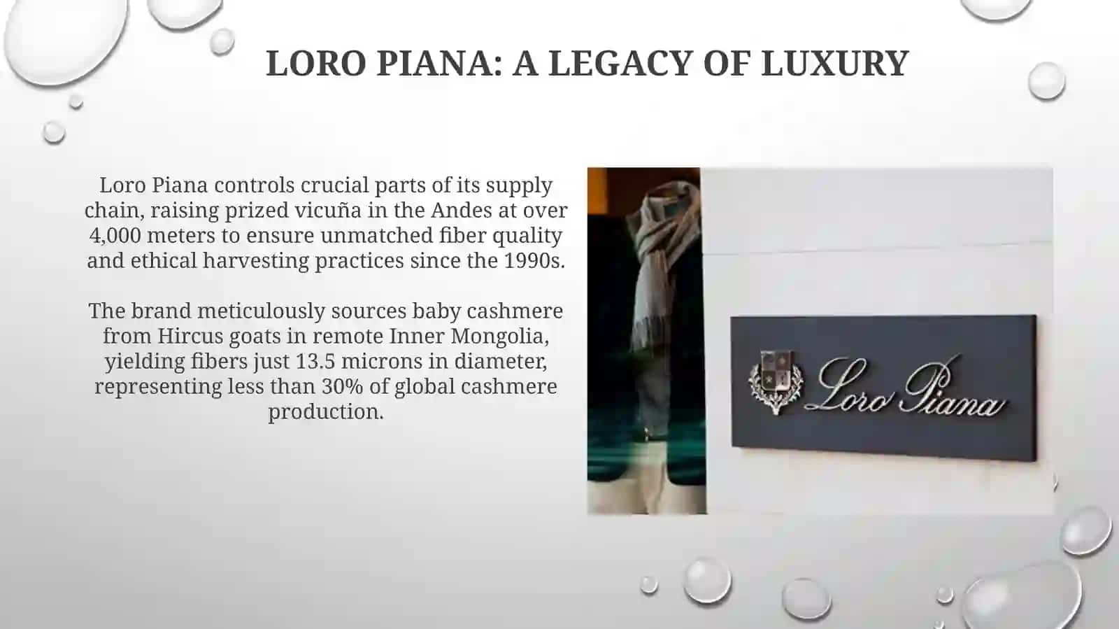 Loro Piana: A Legacy of Luxury 3