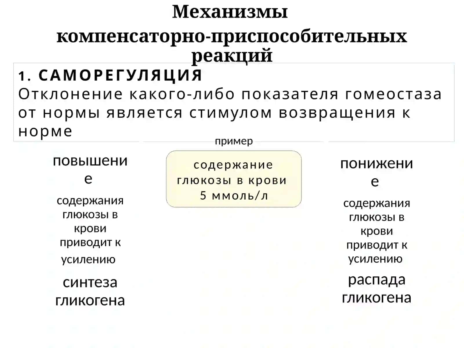 Самостоятельная работа №1 3