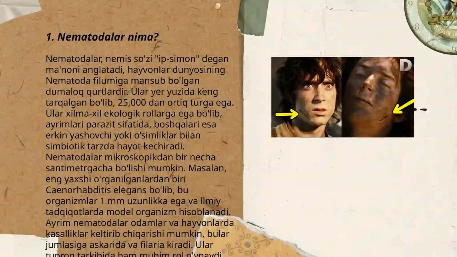 Nematodalar va ularning zarari 3
