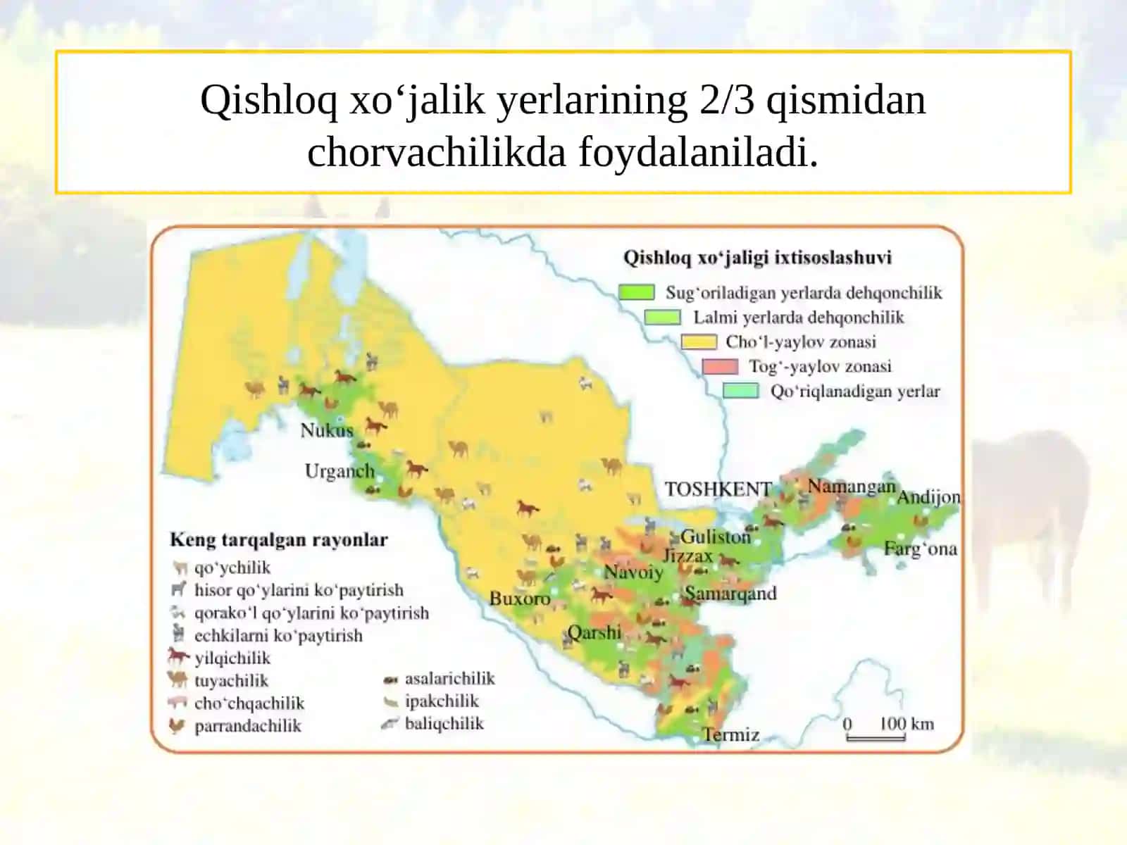 CHORVACHILIK 3