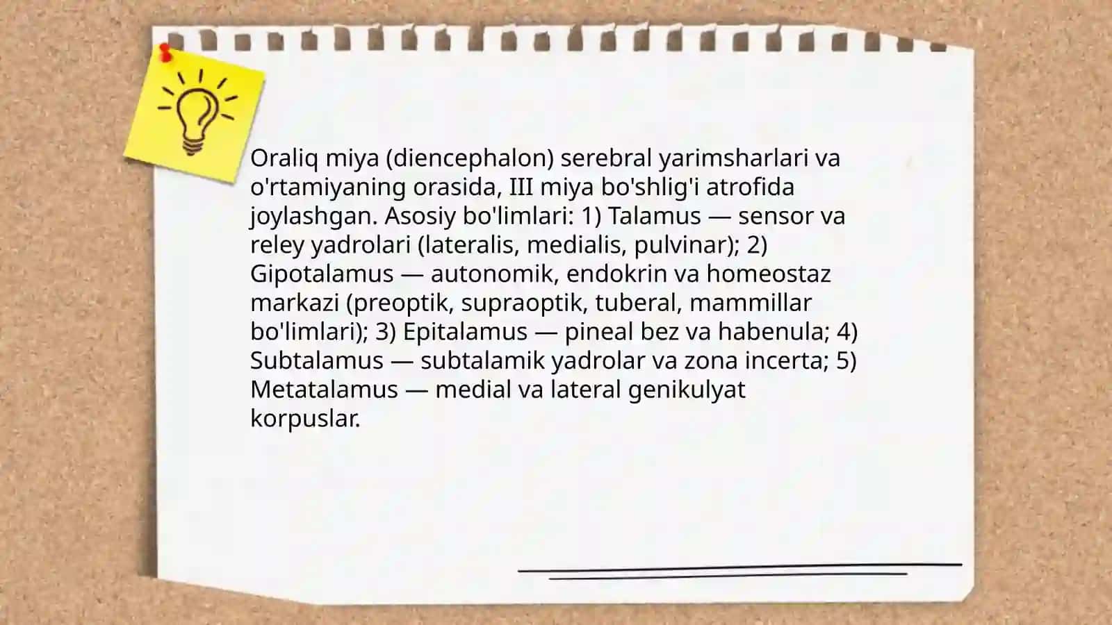 Oraliq miyaning funksional anatomiyasi 3