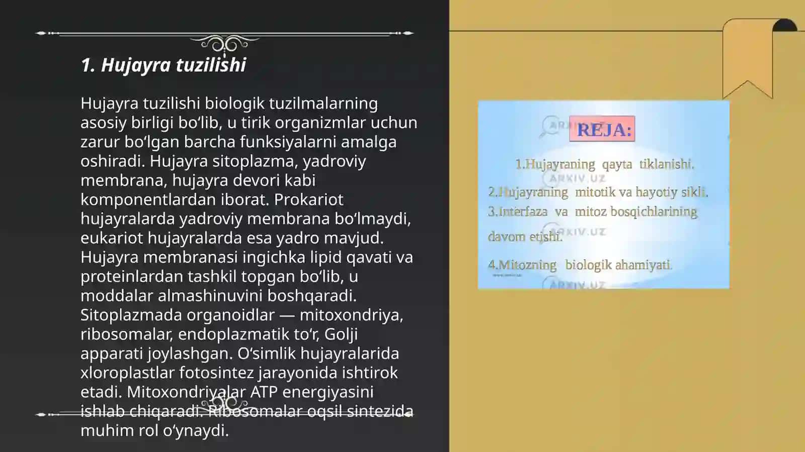 Hujayraning kimyoviy tarkibi 3