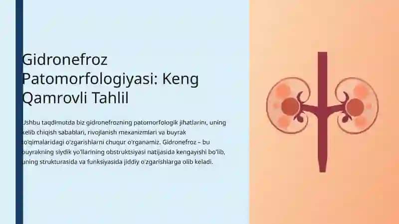 Gidronefroz Patomorfologiyasi 3