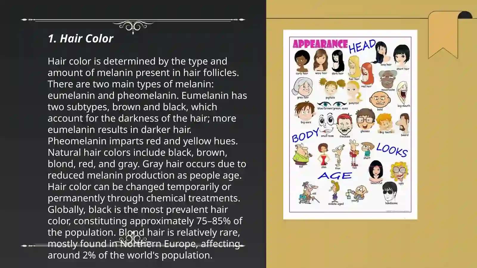 Describing people:appearance 3