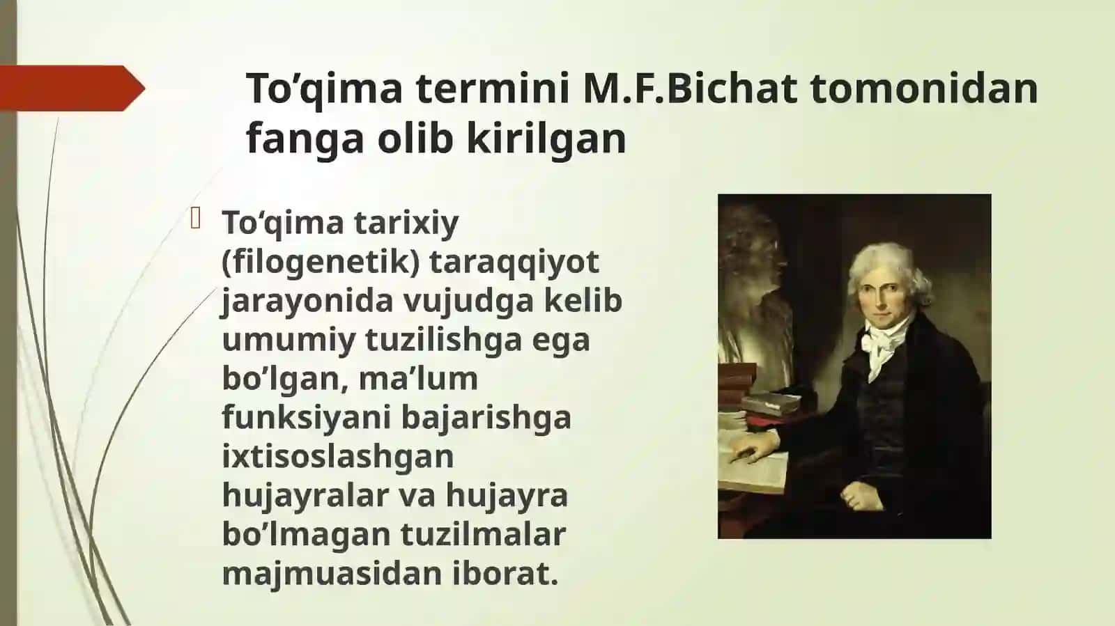 To’qimalar haqidagi ta'limot 3
