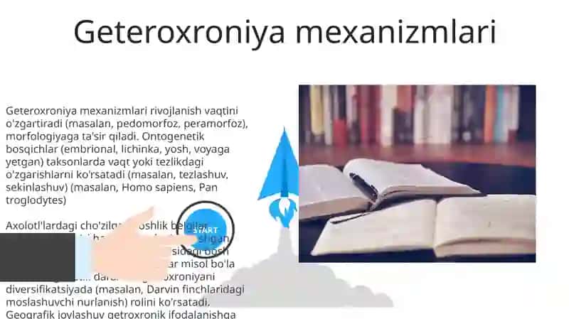 Gexoxroniya holatlari va misollari 3