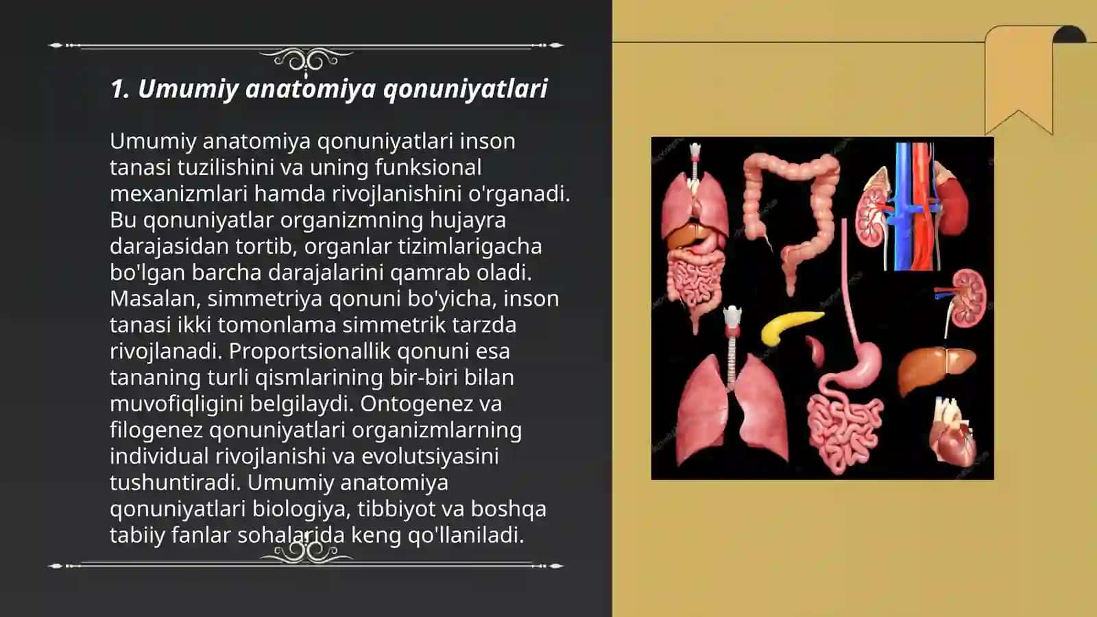 Odam anatomiyasi 3