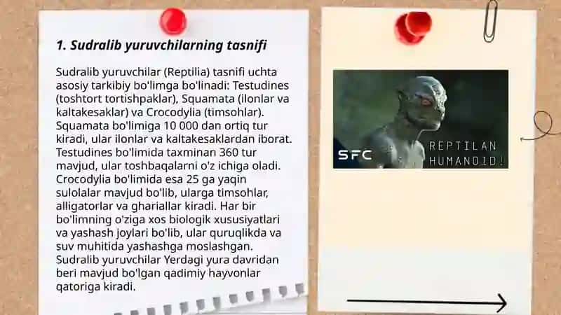 Sudralib yuruvchilar sinfi 3