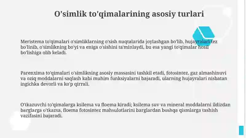 O'simliklarto'qimalari 3