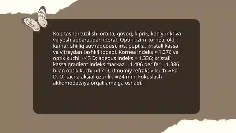 Ko'ruv analizatori. Ko'zning optik va retseptor tizimi 3