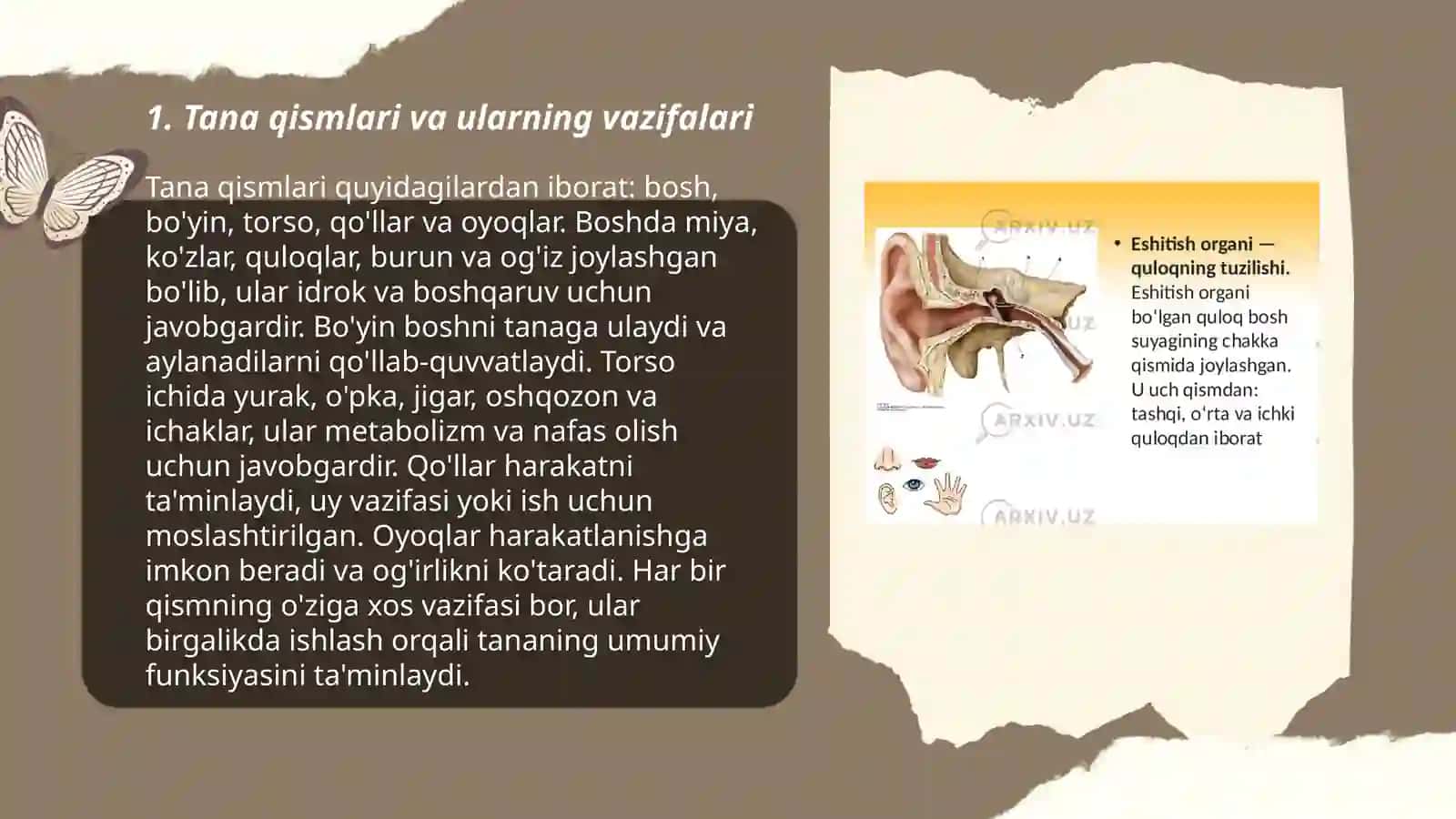 Tana qismlari va ularning vazifalari 3