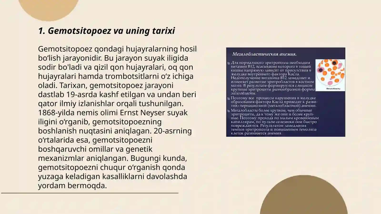 Gemotsitopoez 3