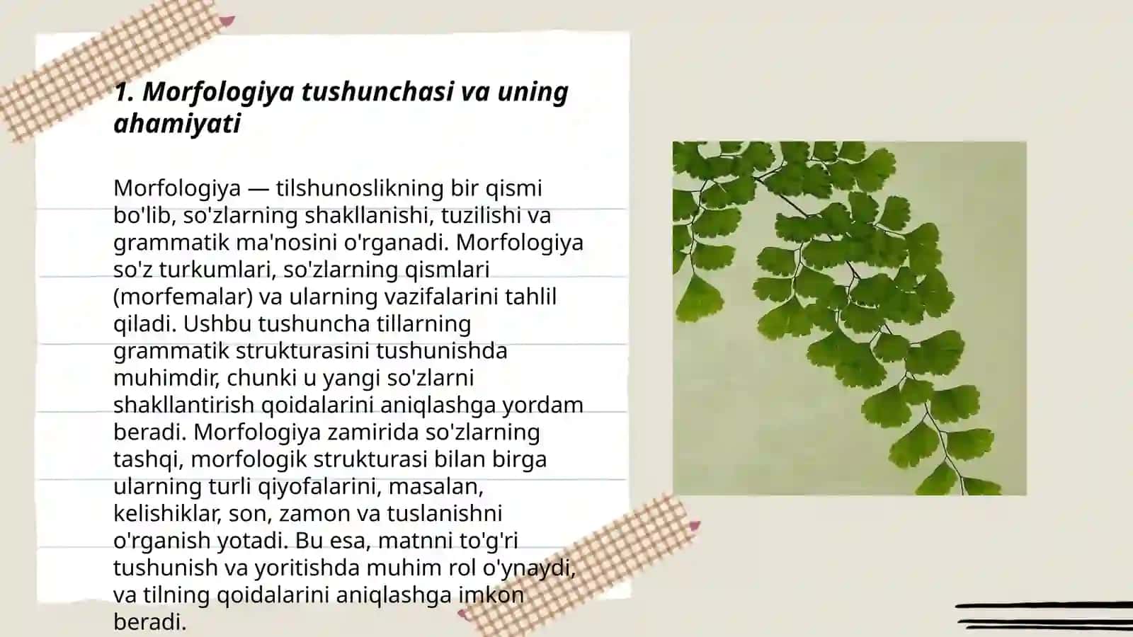 Bargning morfologiyasini oʻrganish 3