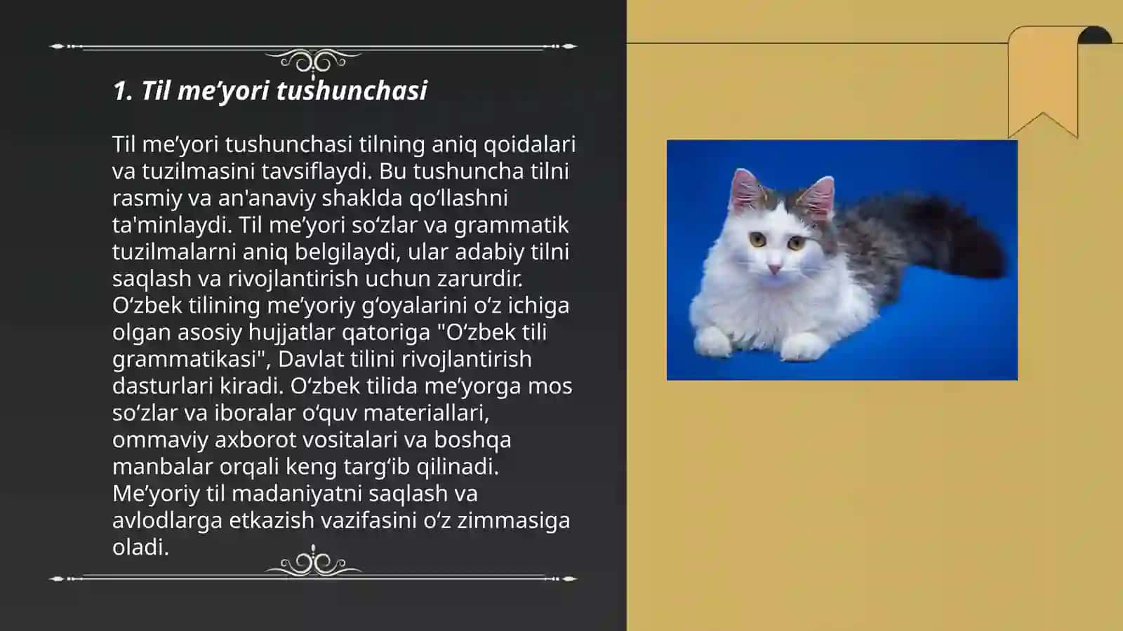 Til me’yori tushunchasi 3