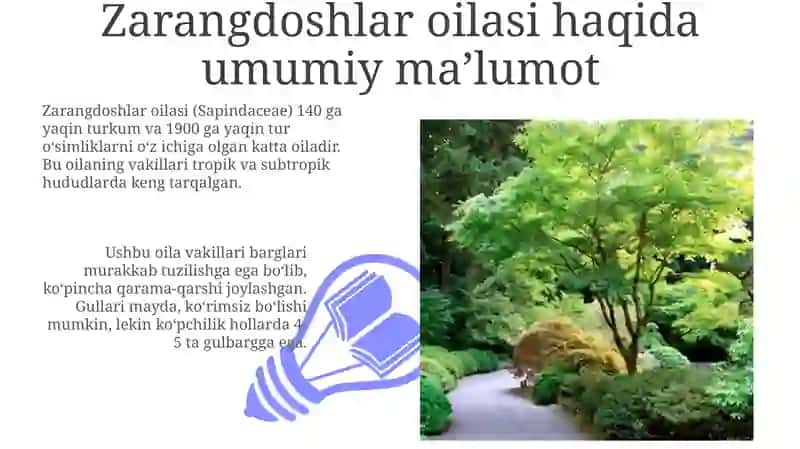 Zarangdoshlar oilasi 3