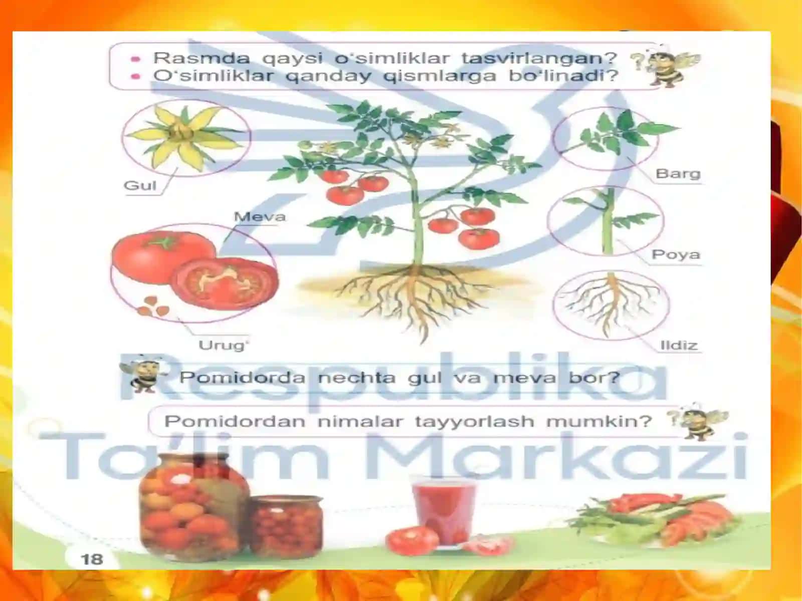 O‘simliklarning tuzilishi 3