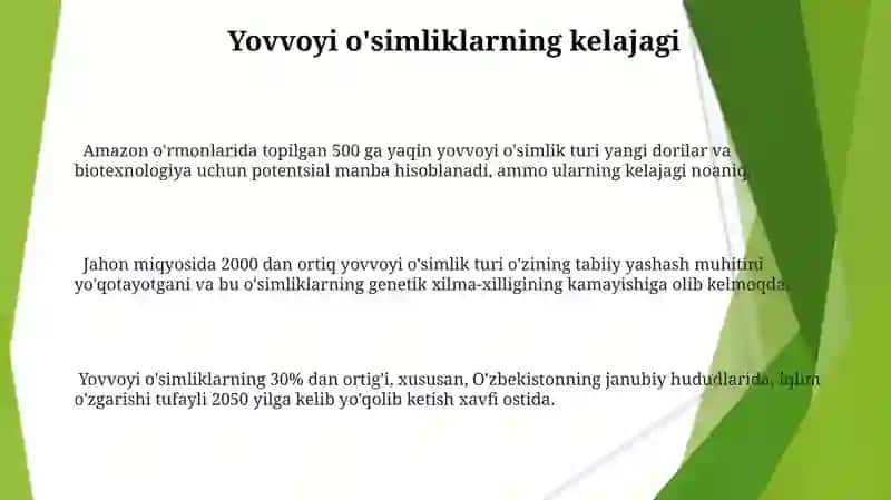 Jag' jag' o'simligi 3