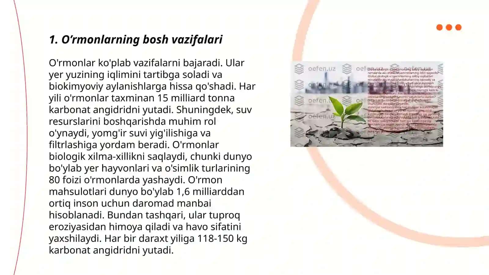 O’rmonlar va ularning ekologik ahamiyati 3