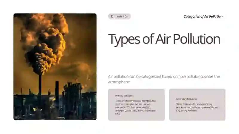Air Pollution: Causes, Effects, and Solutions 3