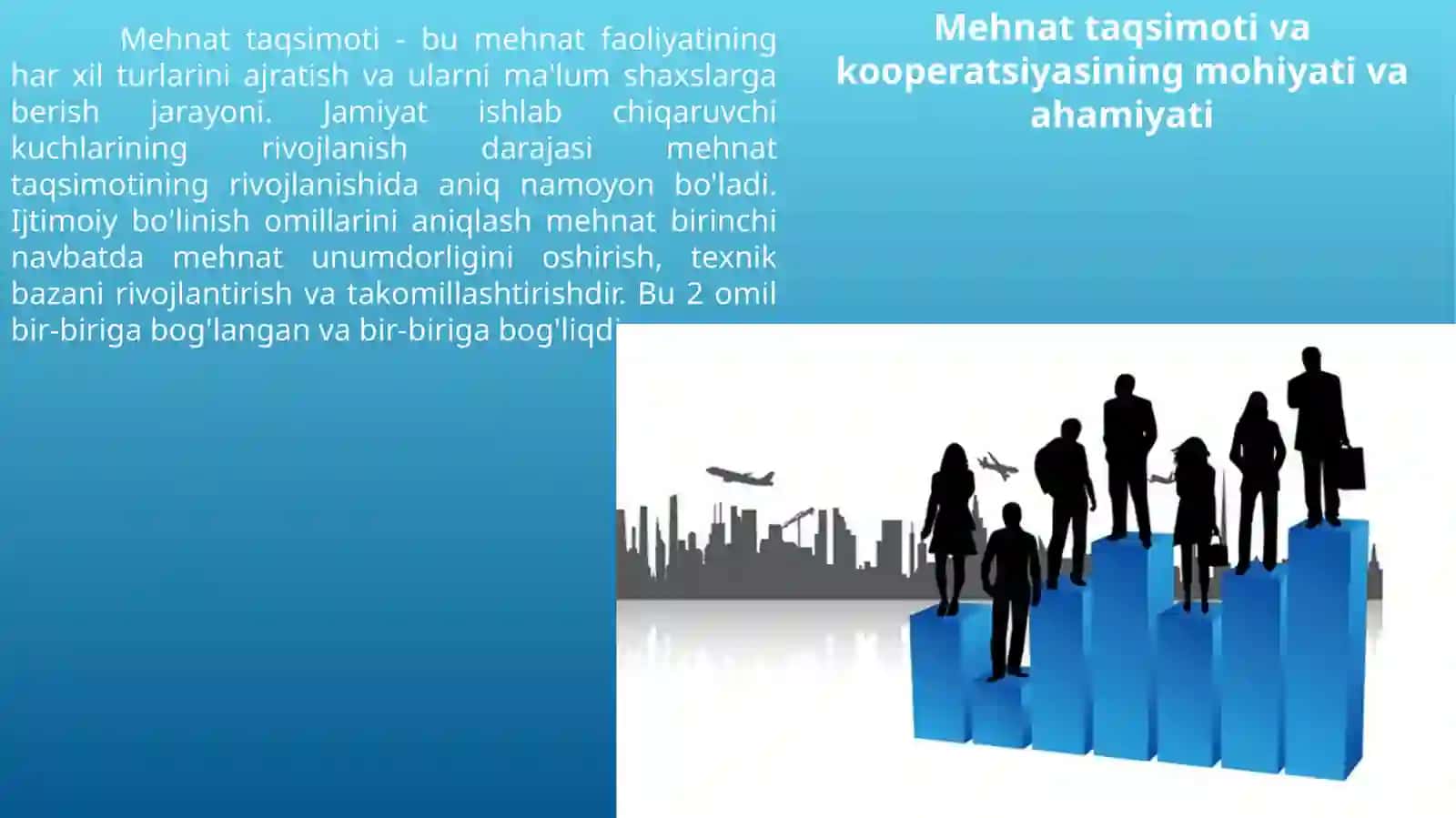 Mehnat taqsimoti va kooperatsiyasi 3