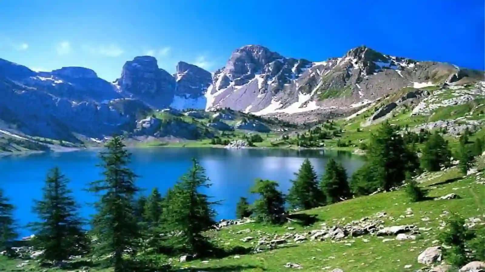 natural world 3