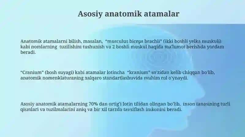 Lotin tilida anatomik termin tuzilishi 3