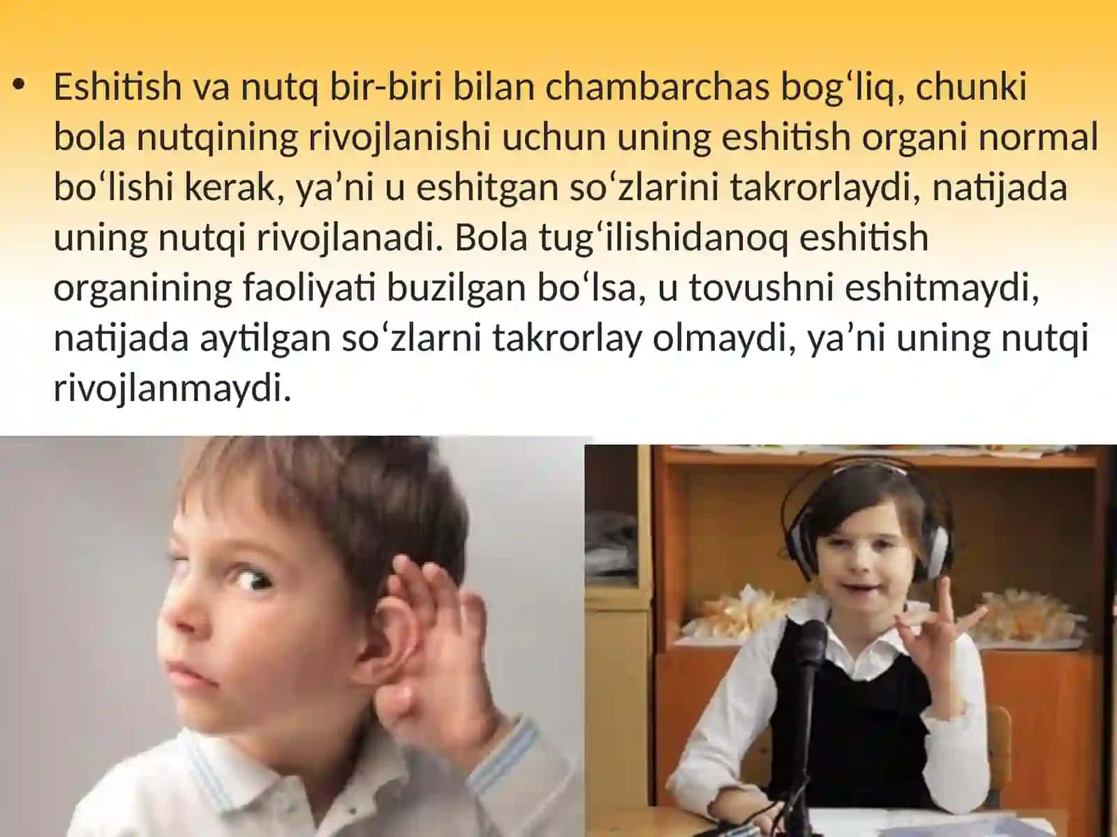 Eshitish organi (eshitish analizatori) 3