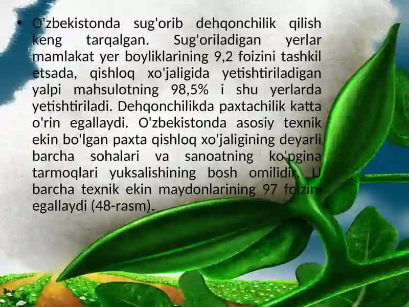 DEHQONCHILIK 3