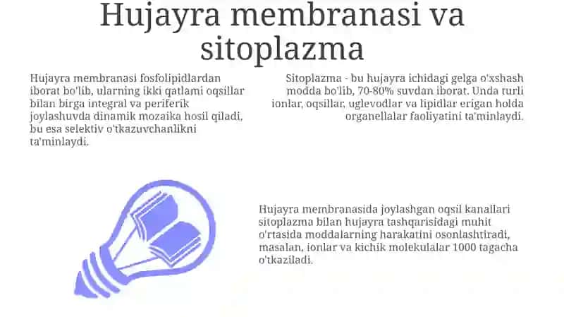 Hujayra membranasi va sitoplazma 3