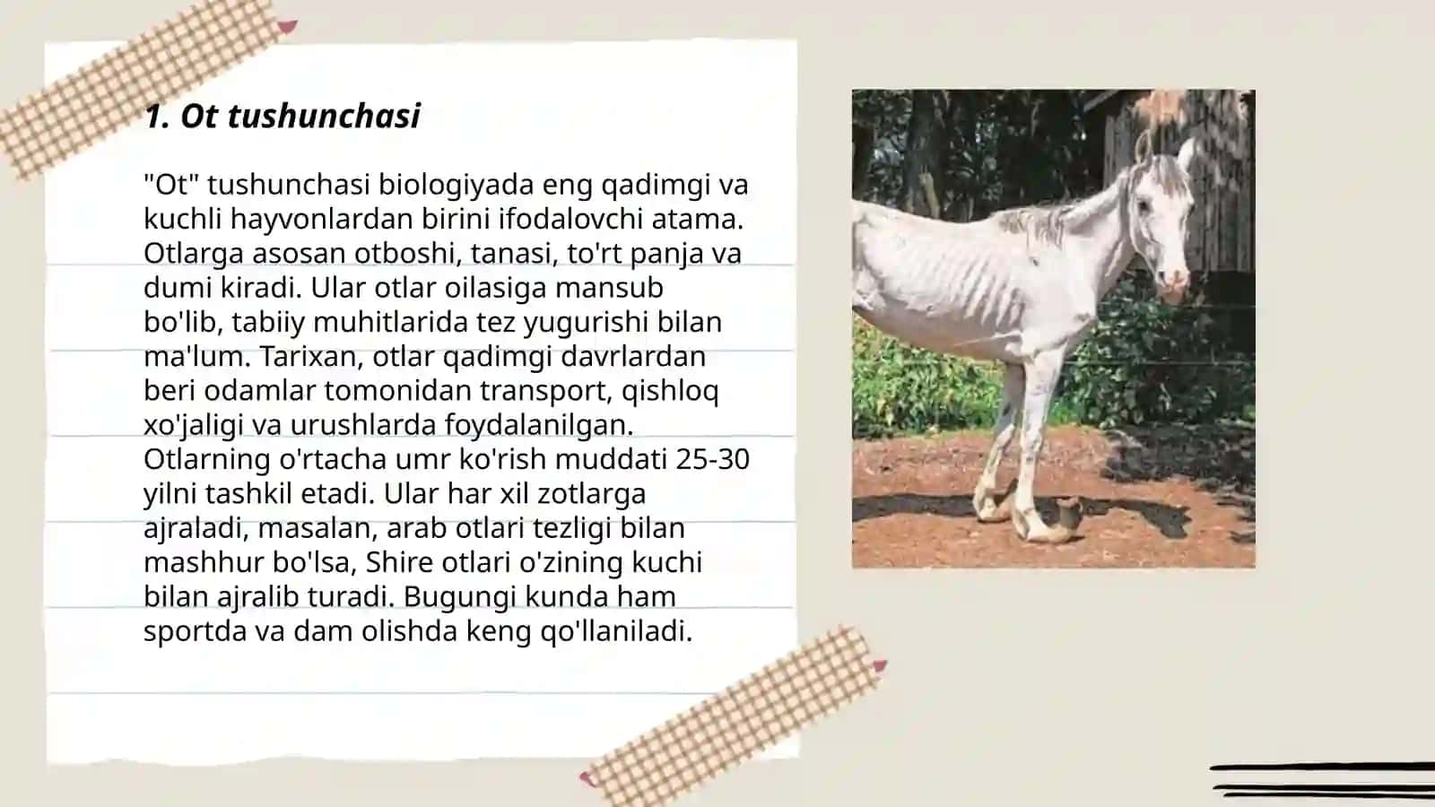 Ot va uning turlari 3