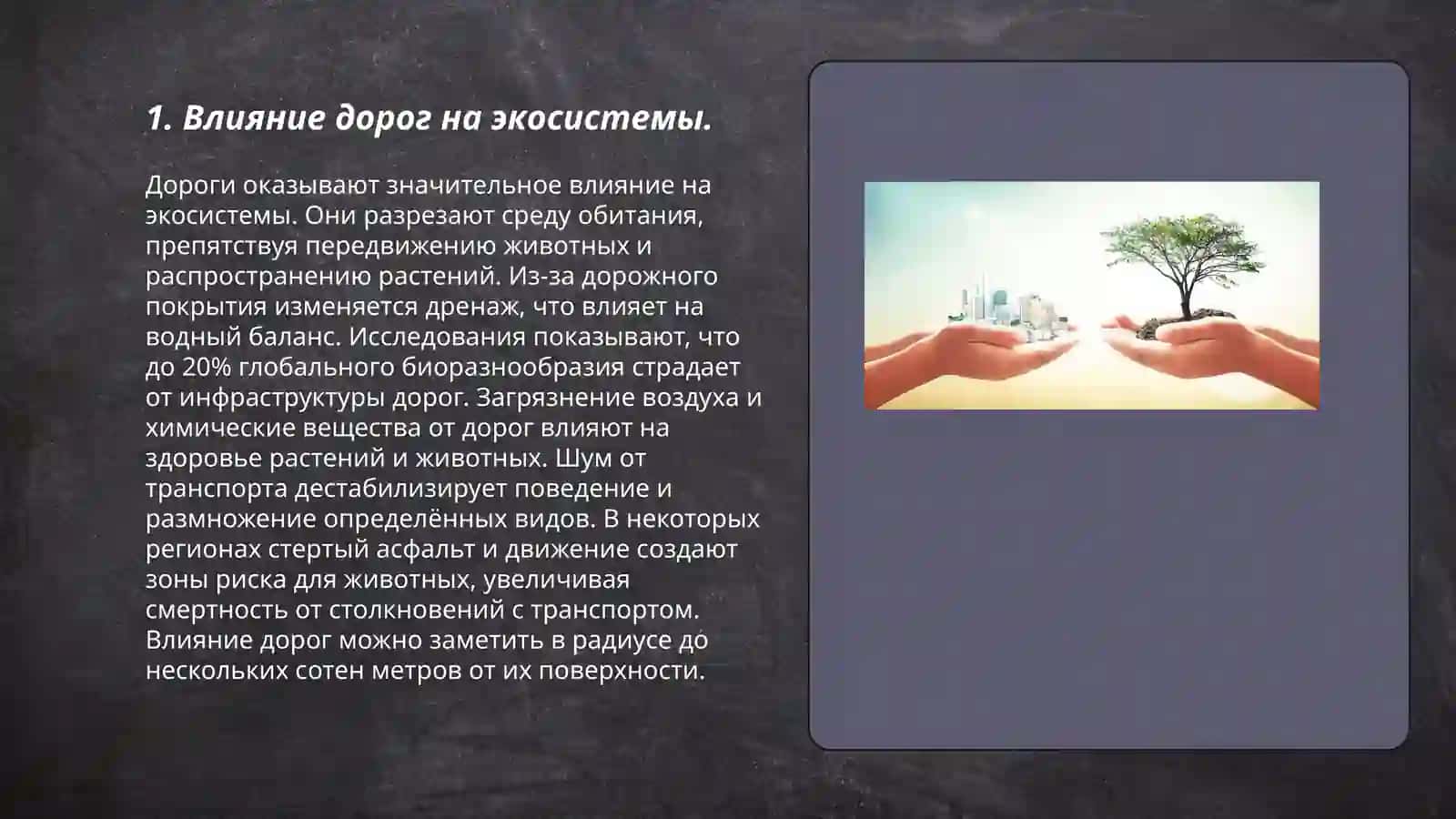 Екология дороги 3