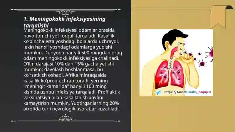 Meningokokk infeksiyasi 3