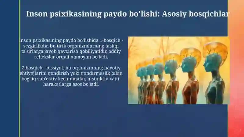 Inson psixikasining paydo bo'lishi va rivojlanishi 3