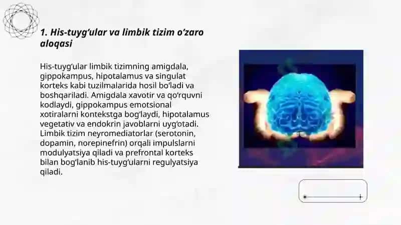 Psixik jarayonlar va miyaning o'zaro aloqadorligi 3