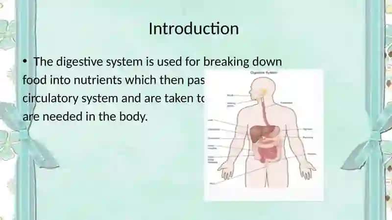 The digestive system and process of digestion and absorption 3