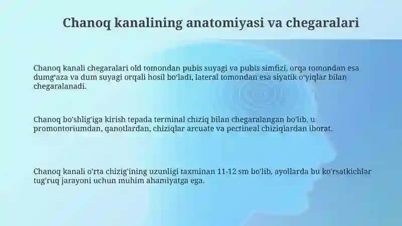 Chov kanali anatomiyasi 3