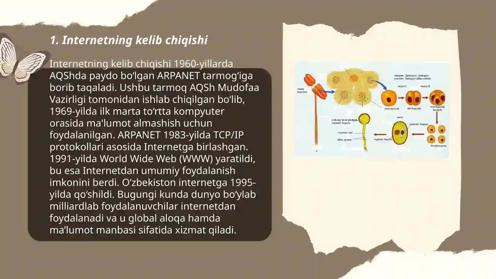 Internetning paydo boʻlishi va rivojlanishi Sabirova Kamola 3