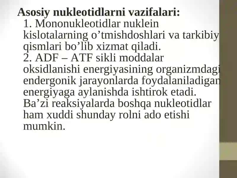 Nukleotidlar almashinuvi 3