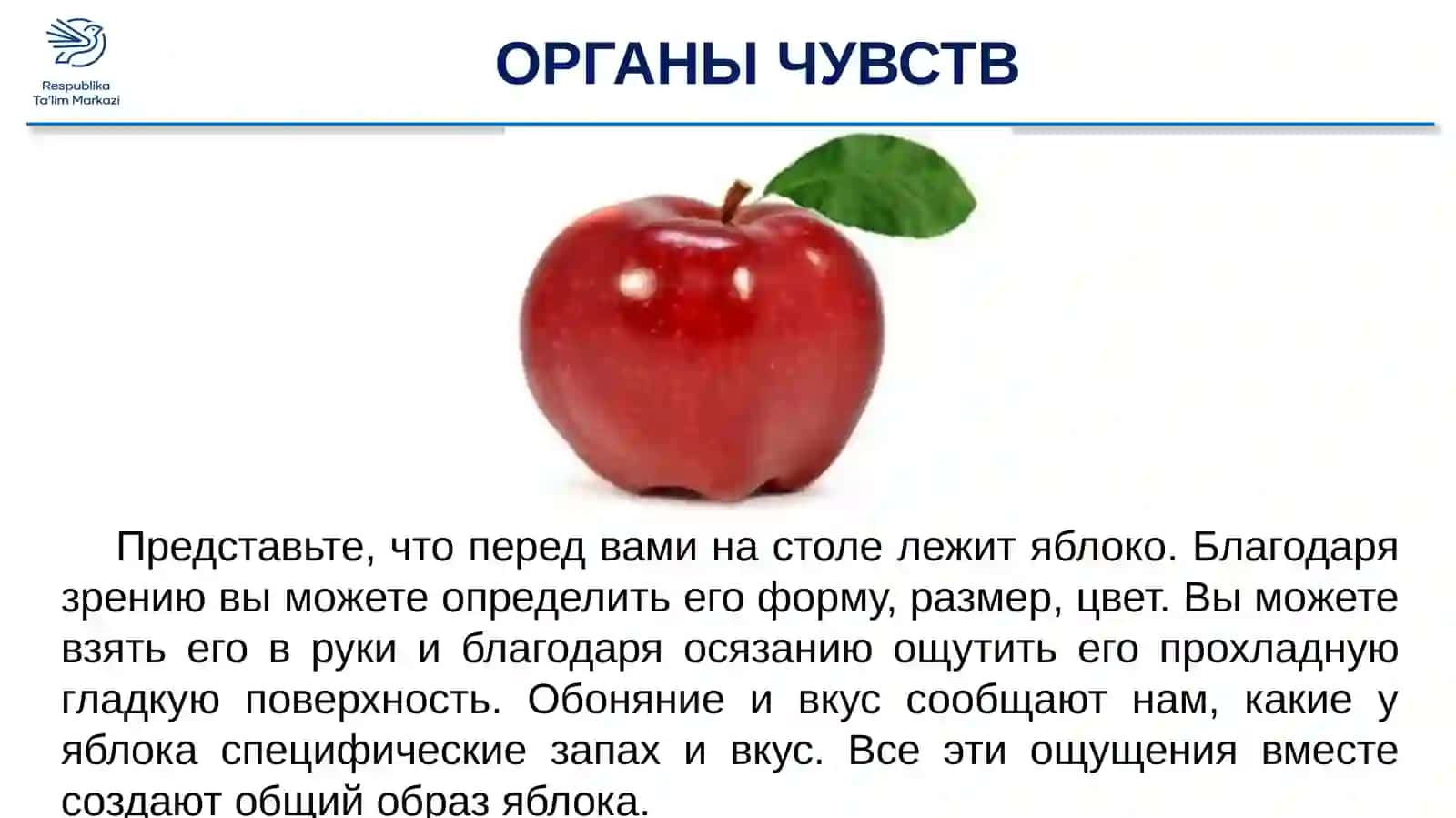 ЗНАЧЕНИЕ ОРГАНОВ ЧУВСТВ 3