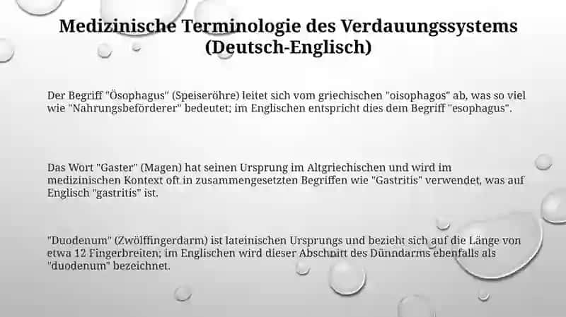 Fremdsprache in der Medizin 3