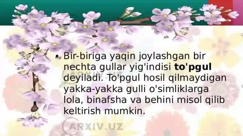 To‘pgullarning Xilma-xilligi 3