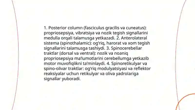 Oʻtkazuv yoʻllari va funksiyalari 3